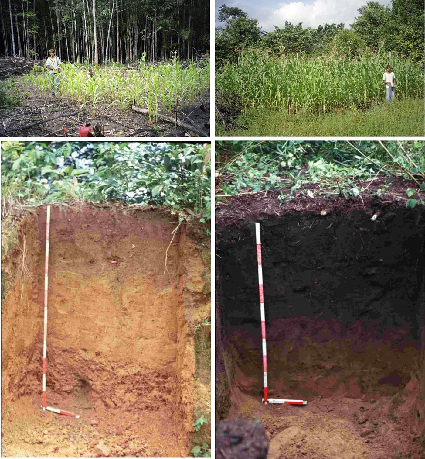 LIQUID BIOCHAR - Carbon Soil Enhancer